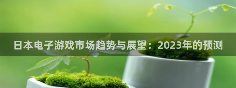 奇亿娱乐官网登录：日本电子游戏市场趋势与展望：2023年的预