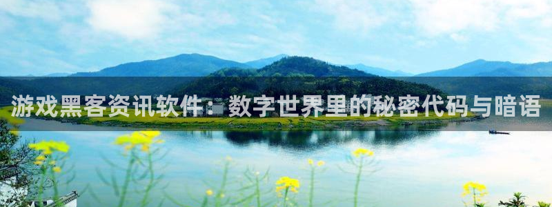 奇亿娱乐app下载地址：游戏黑客资讯软件：数字世界里的秘密代