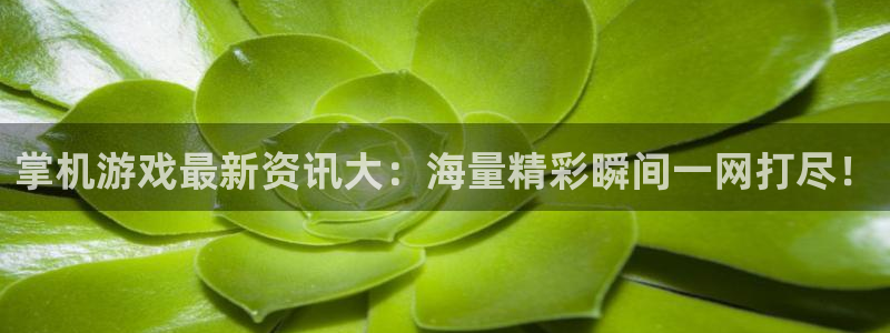 奇亿娱乐平台登录线路：掌机游戏最新资讯大：海量精彩瞬间一网打