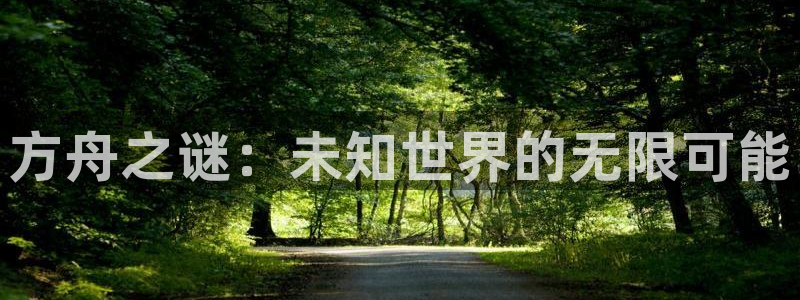 奇亿娱乐注册登录:方舟之谜:未知世界的无限可能