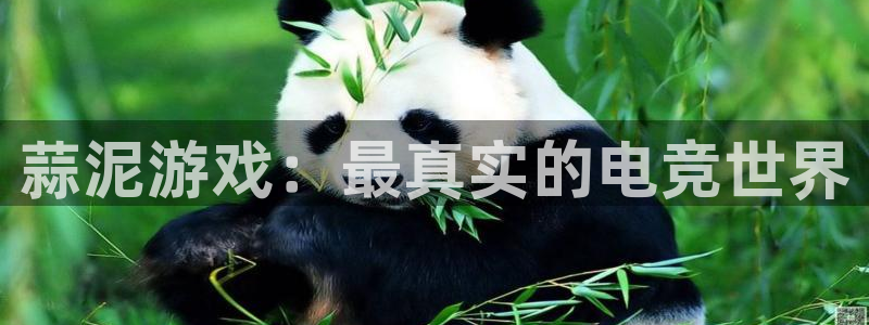 奇亿娱乐平台官网客服电话:蒜泥游戏:最真实的电竞世界