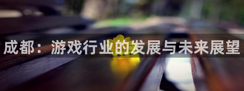 奇亿娱乐的意思：成都：游戏行业的发展与未来展望