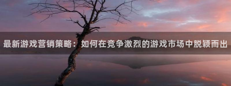 奇亿娱乐4招商：最新游戏营销策略：如何在竞争激烈的游戏市场中