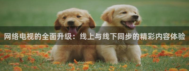 搜球吧8直播免费观看：网络电视的全面升级：线上与线下同步的精彩内容体验