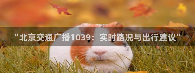 搜球吧零点吧nba直播：“北京交通广播1039：实时路况与出行建议”