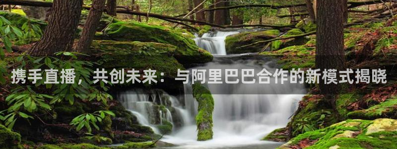 搜球体育直播app：携手直播，共创未来：与阿里巴巴合作的新模式揭晓