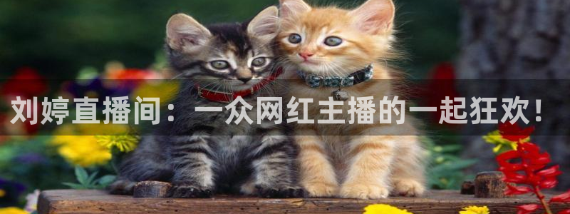 搜球吧手机直播nba直播：刘婷直播间：一众网红主播的一起狂欢！