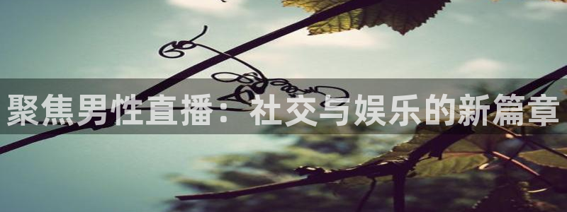 搜球吧直播nba：聚焦男性直播：社交与娱乐的新篇章