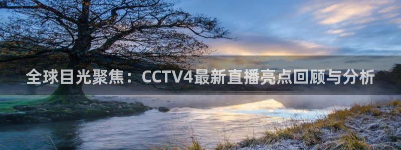搜球体育直播：全球目光聚焦：CCTV4最新直播亮点回顾与分析