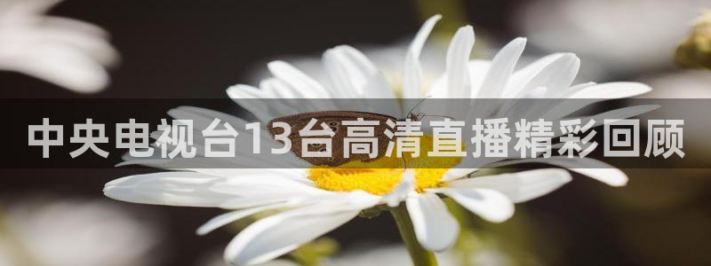 搜球吧直播 在线观看：中央电视台13台高清直播精彩回顾