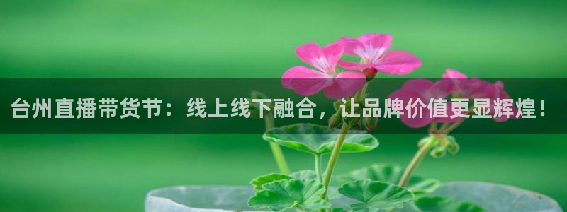 搜球体育直播app：台州直播带货节：线上线下融合，让品牌价值更显辉煌！